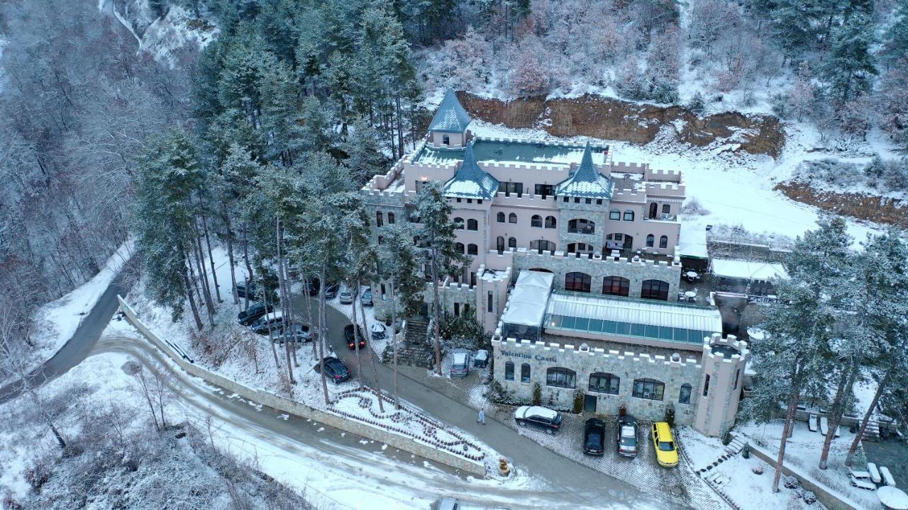 Valentina Castle Ogneanovo